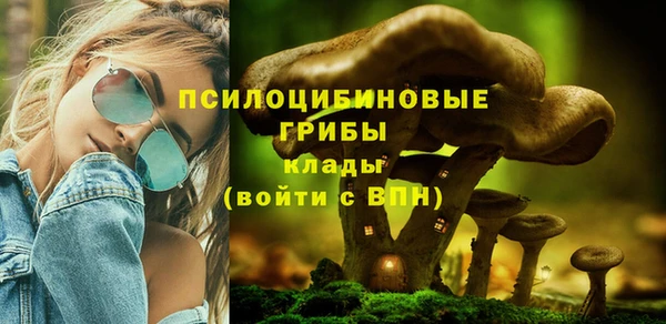 твердый Балахна
