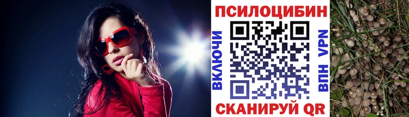 Псилоцибиновые грибы MAGIC MUSHROOMS  Городец 
