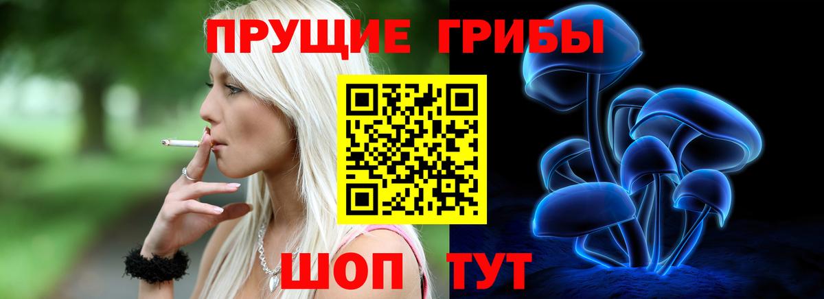 Городец  Галлюциногенные грибы Cubensis  Вход с VPN 