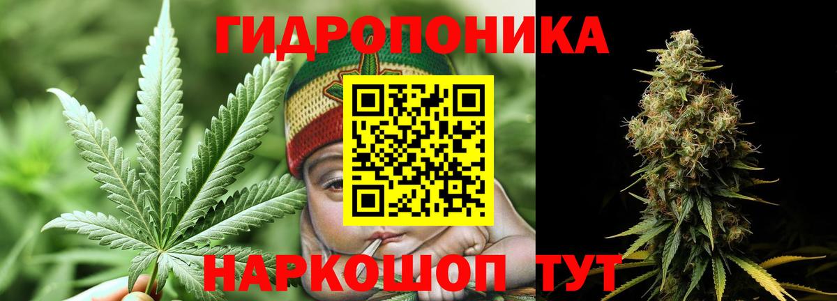 Канабис ГИДРОПОН  Вход с VPN  Городец  МАРИХУАНА индика  Марихуана индика 