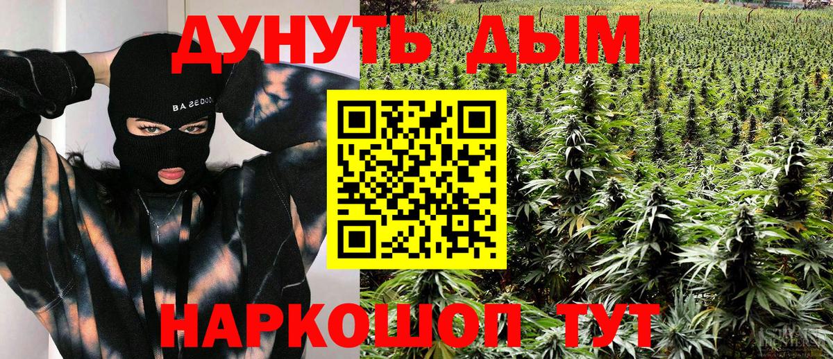 Канабис план Городец